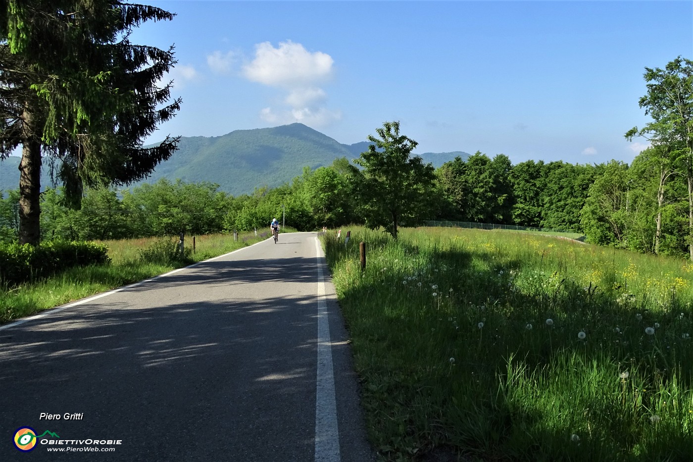 62 Breve tratto su strada asfaltata ai prati di Pratolungo.JPG